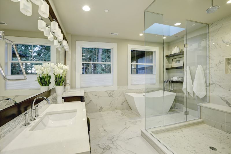 Master Bathroom Renovation Ideas